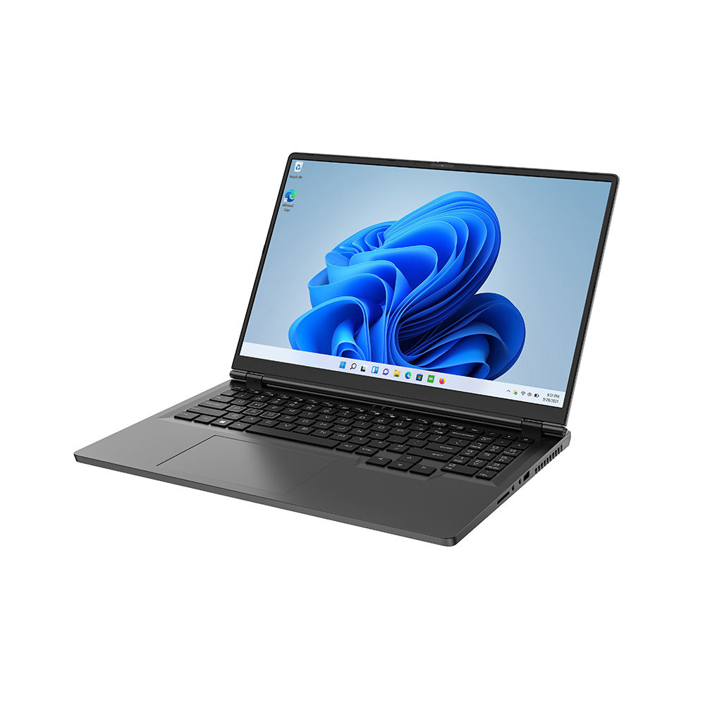 OEM Supplier i7 Laptops 165Hz Screen Computer i7 12th Gen Nvidia RTX 3060 64GB RAM 4TB SSD Gaming Laptop