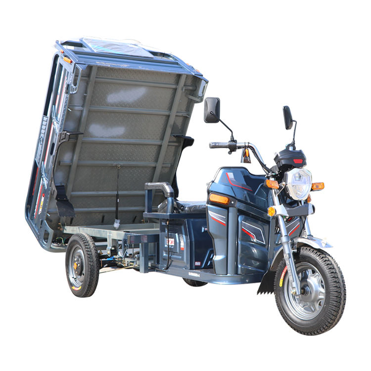 Agricultural motorcycle 3 wheel motorcycle cargo motorcycle three wheel electric bike adult
