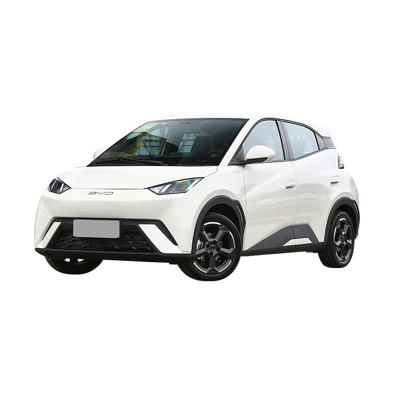 The New Car BYD Seagull Vigorous Edition Electric Car For Adult
