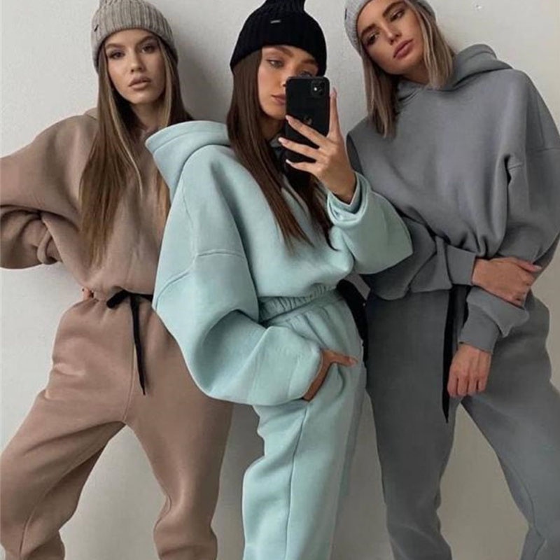 Oem High Quality Heavy 100% Cotton 2 Piece Crop Top Hoodie Woman Oversize Sweatpants And Women's Hoodies Set Sweatsuits 